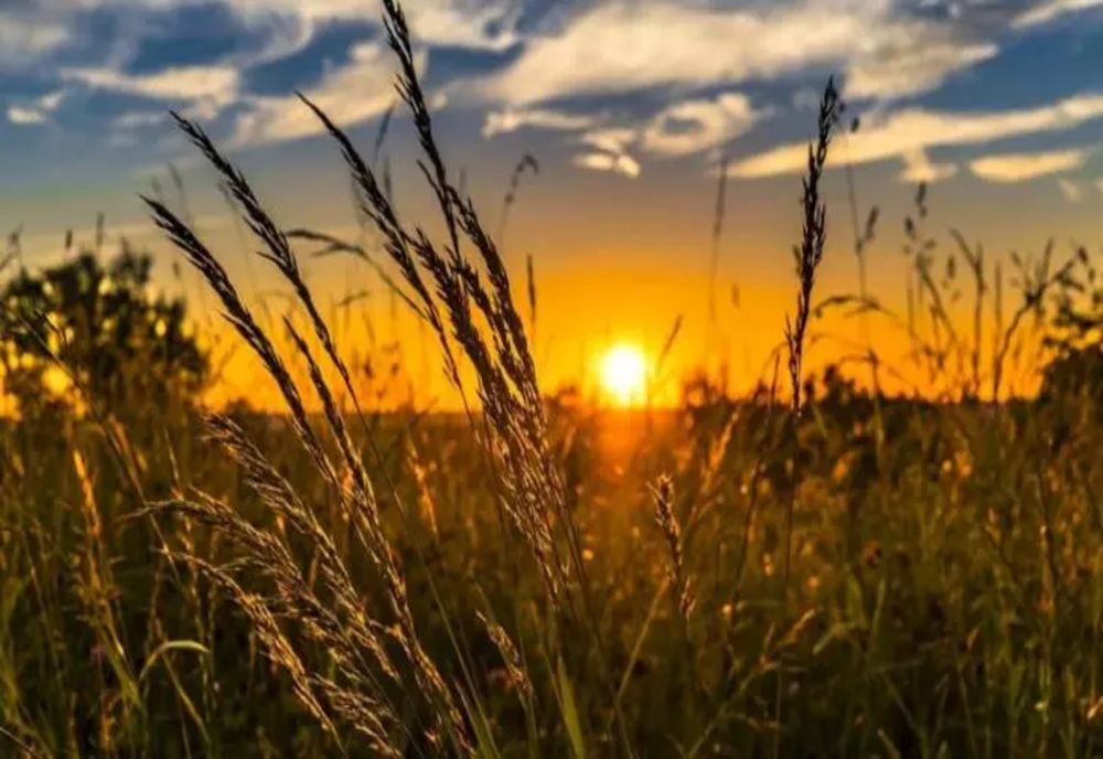 Prognoza meteo. Vremea se menține călduroasă 